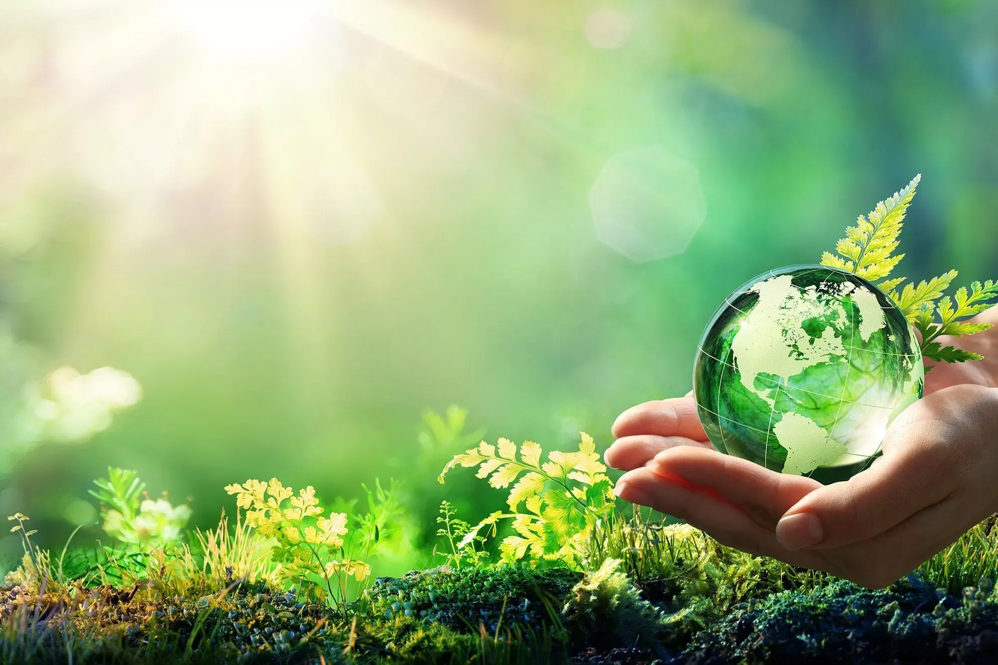 Environmental Policy